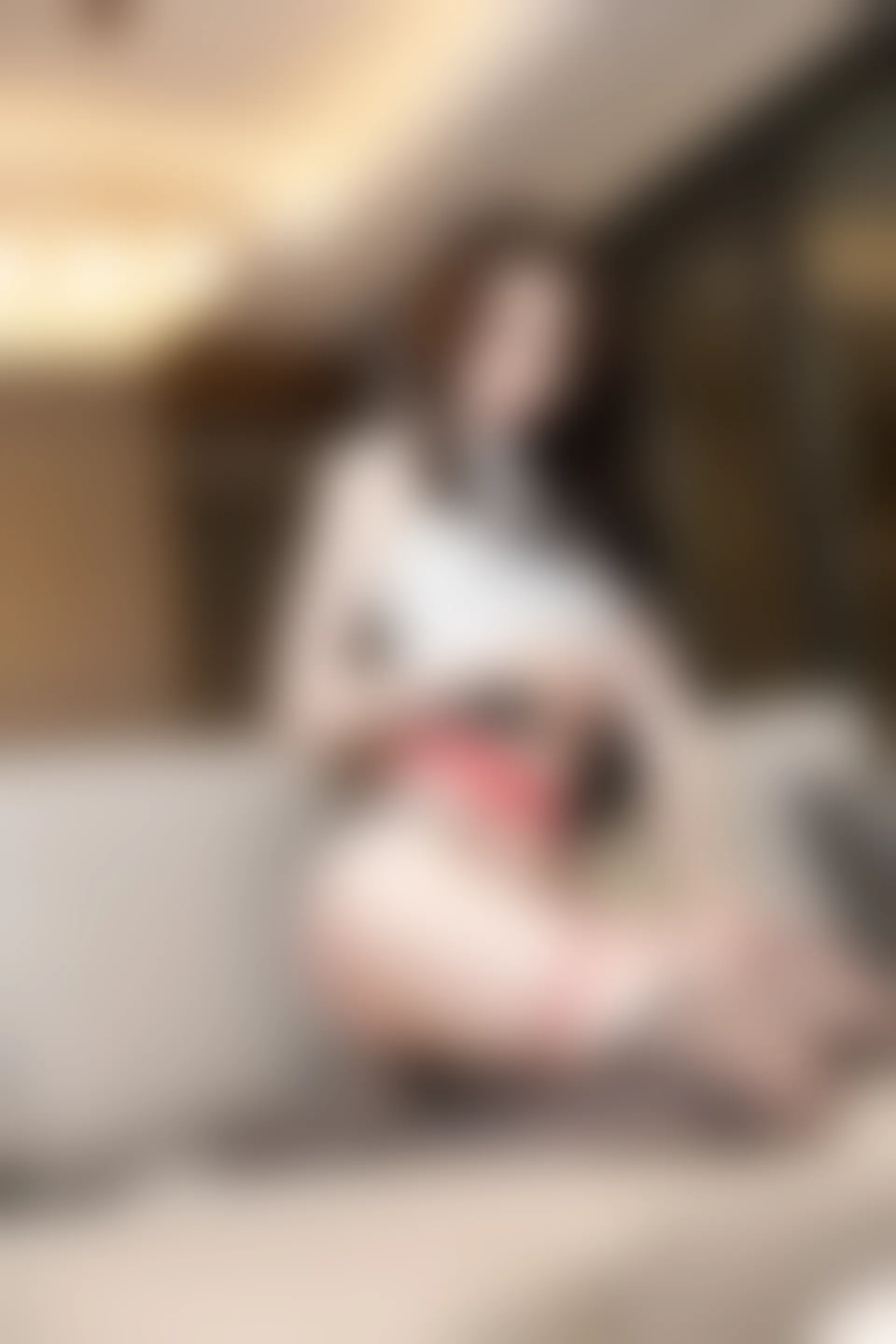 XIUREN秀人网 2023.07.19 NO.7105 梦心玥[82+1P／676MB]