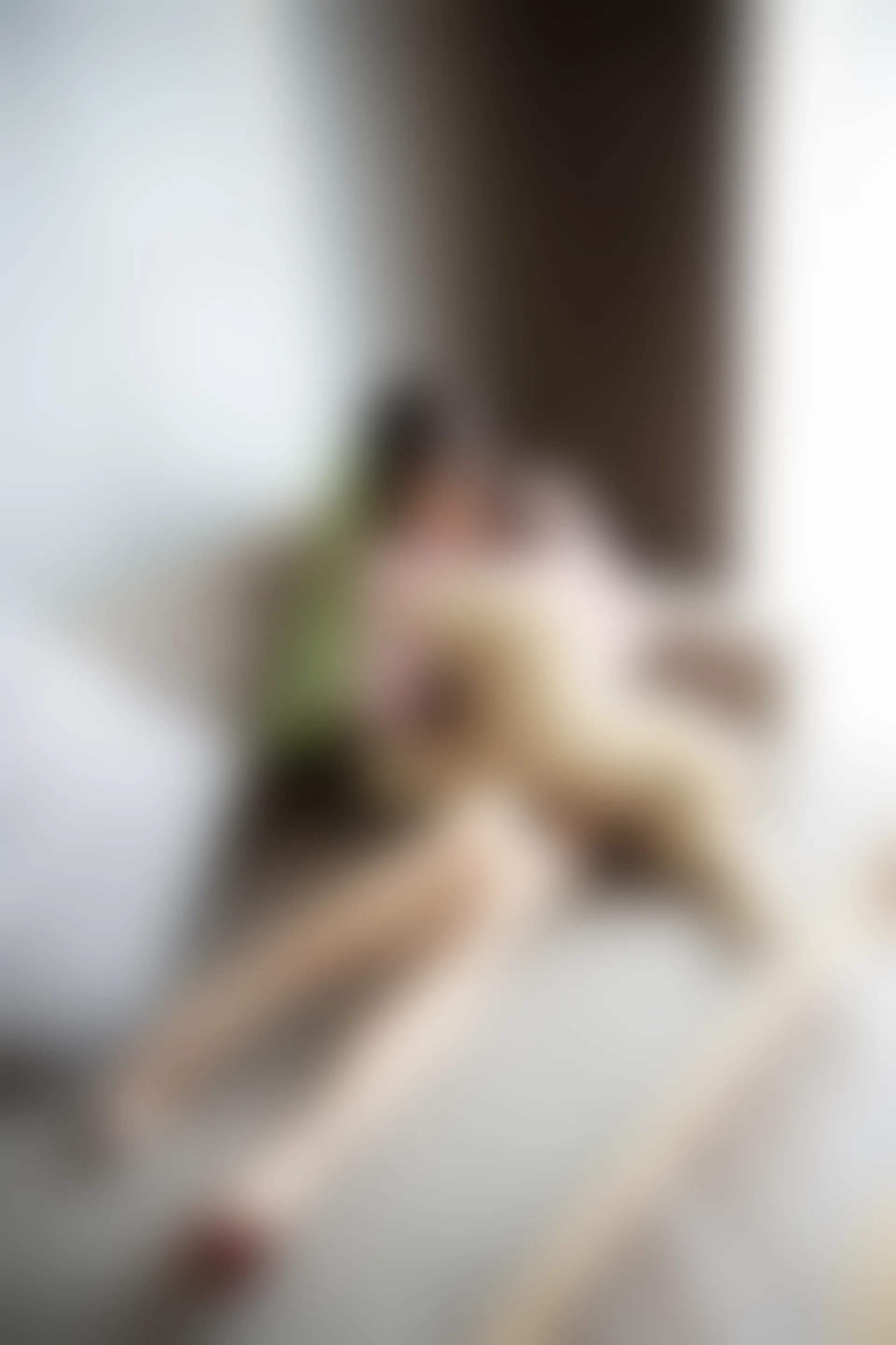 XiuRen秀人网 2019.10.21 No.1742 芝芝Booty [87+1P]