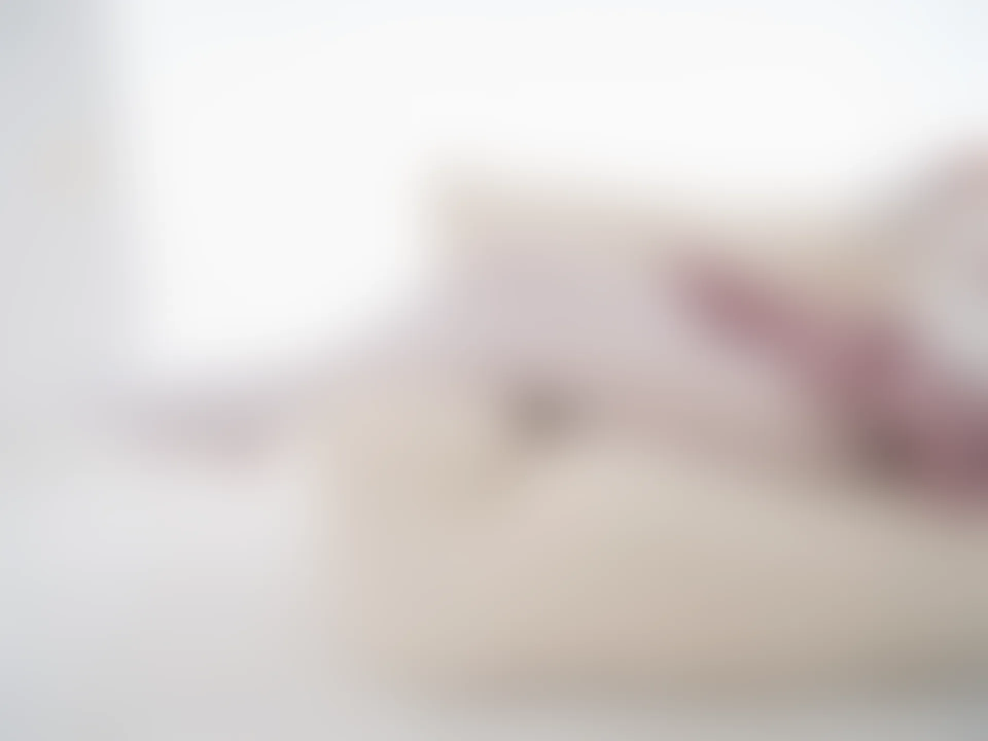 紧急企划 内部-006 白丝JK制服 [84P1V-4.89GB]JK制服, 白丝, 紧急企划, 美腿, 美足