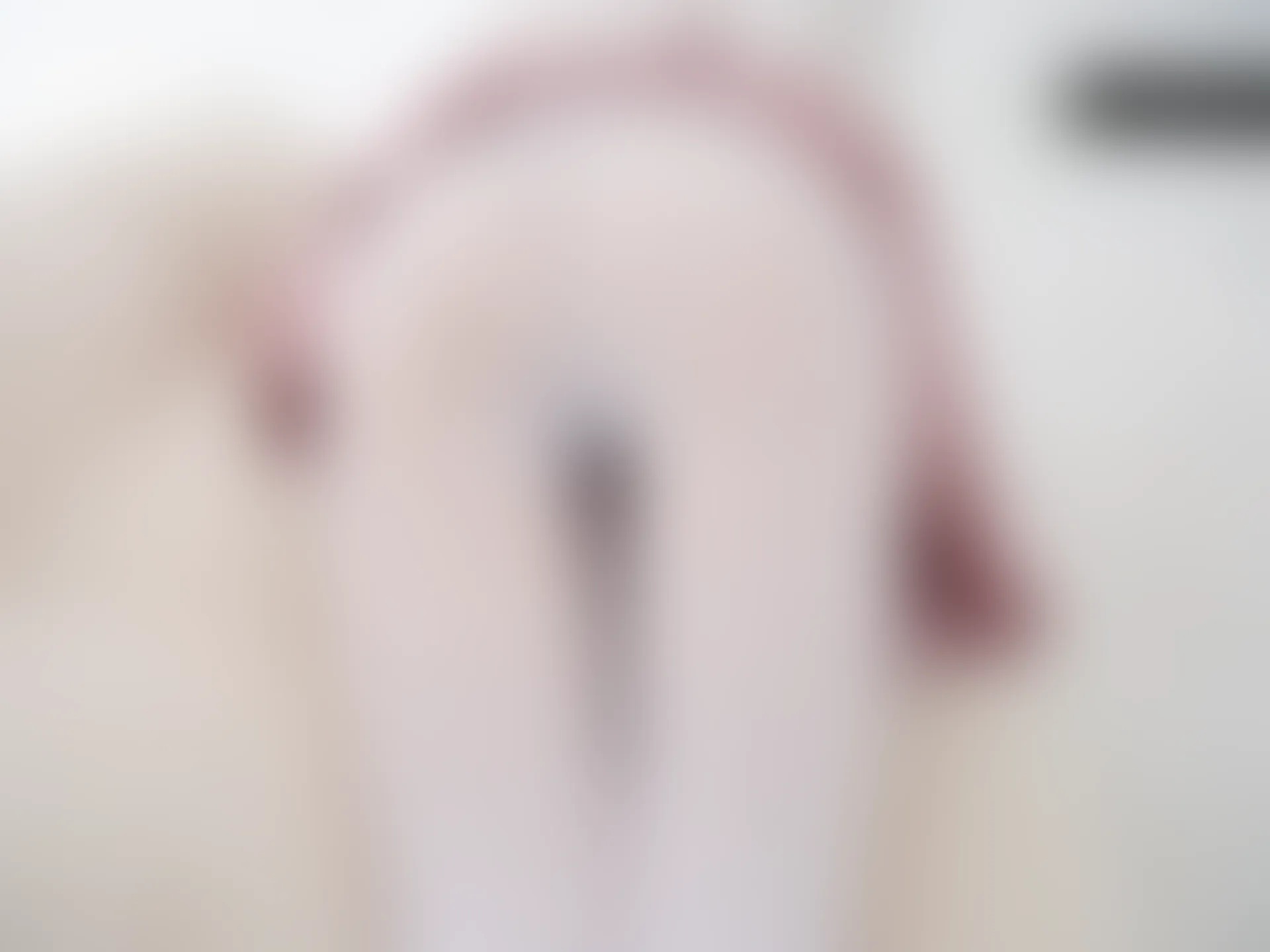 紧急企划 内部-006 白丝JK制服 [84P1V-4.89GB]JK制服, 白丝, 紧急企划, 美腿, 美足