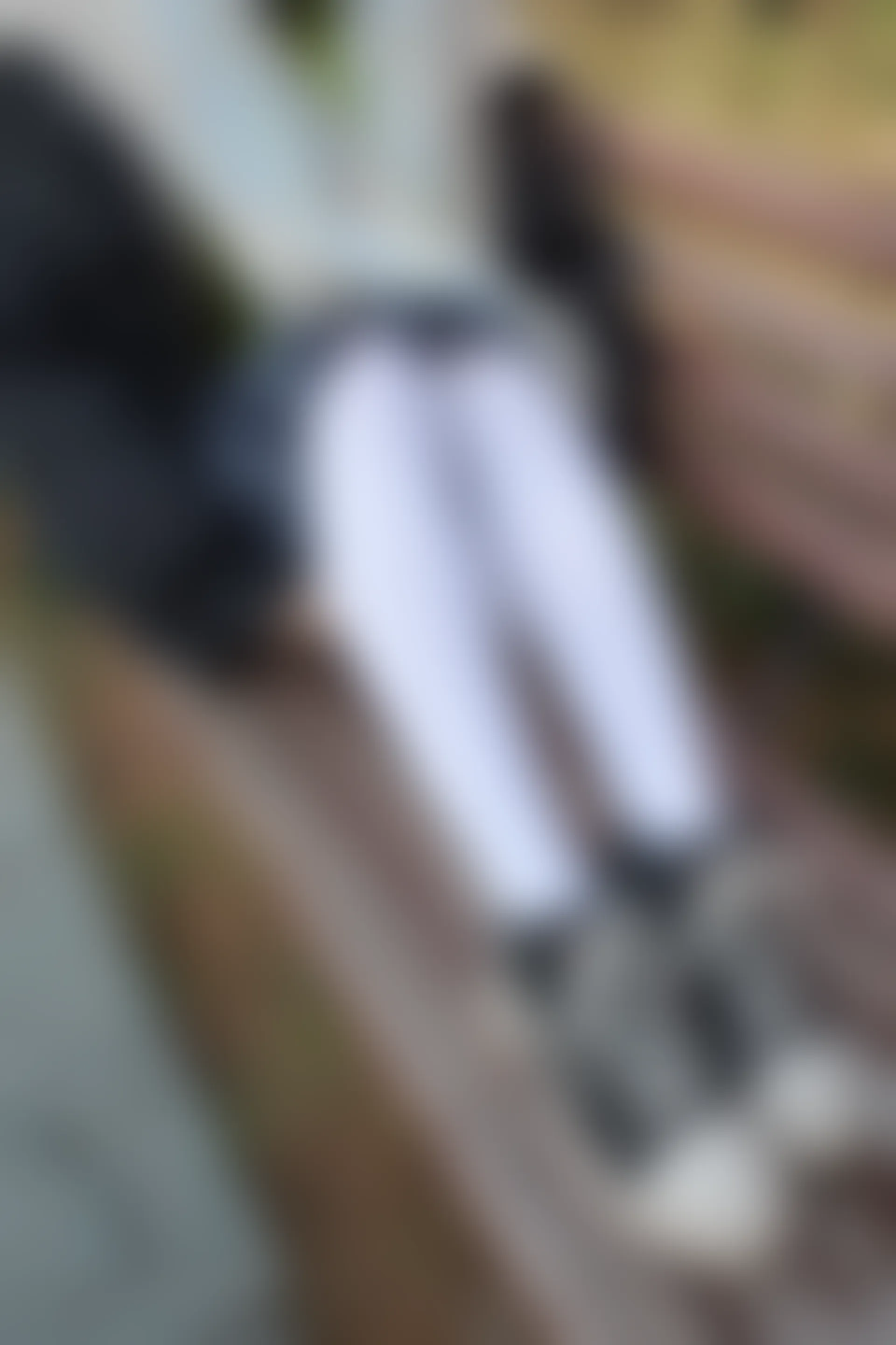 森萝财团 有料-22 [84P-1.09G]JK, JK制服, 学生装, 有料, 校服, 森萝财团, 白丝, 美腿, 美足