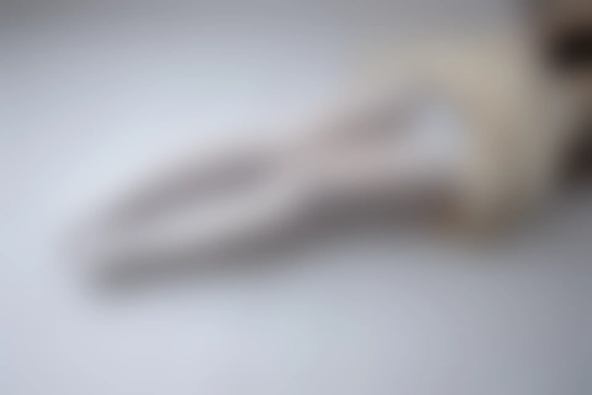 爱花写真 ALPHA-013 [90P-788M]可爱, 森萝财团, 爱花写真, 白丝, 美腿, 美足