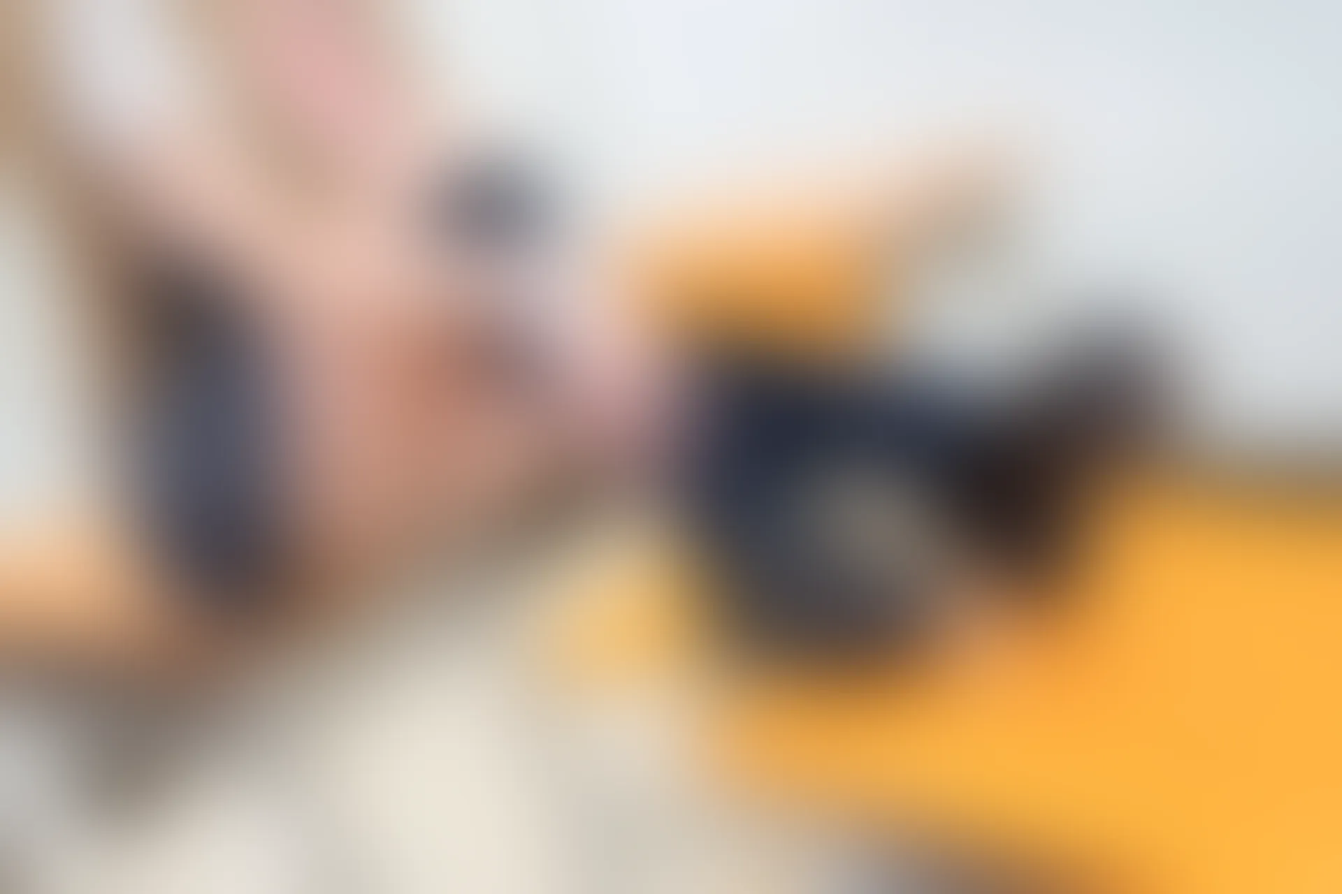 C40.006 教室里的南小鸟 [40P-446MB]