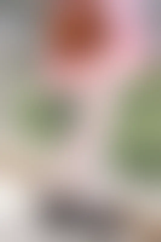 森萝财团 X-026 [113P1V-1.78G]可爱, 森萝财团, 白丝, 美腿, 美足