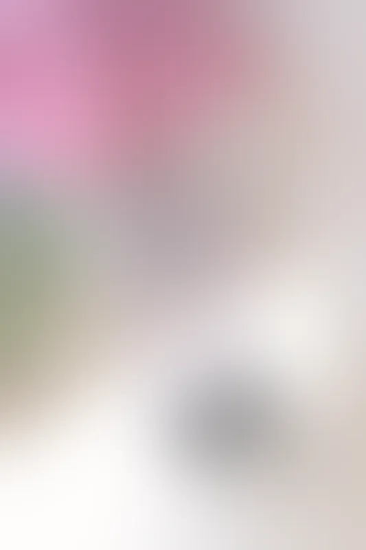 森萝财团 X-026 [113P1V-1.78G]可爱, 森萝财团, 白丝, 美腿, 美足