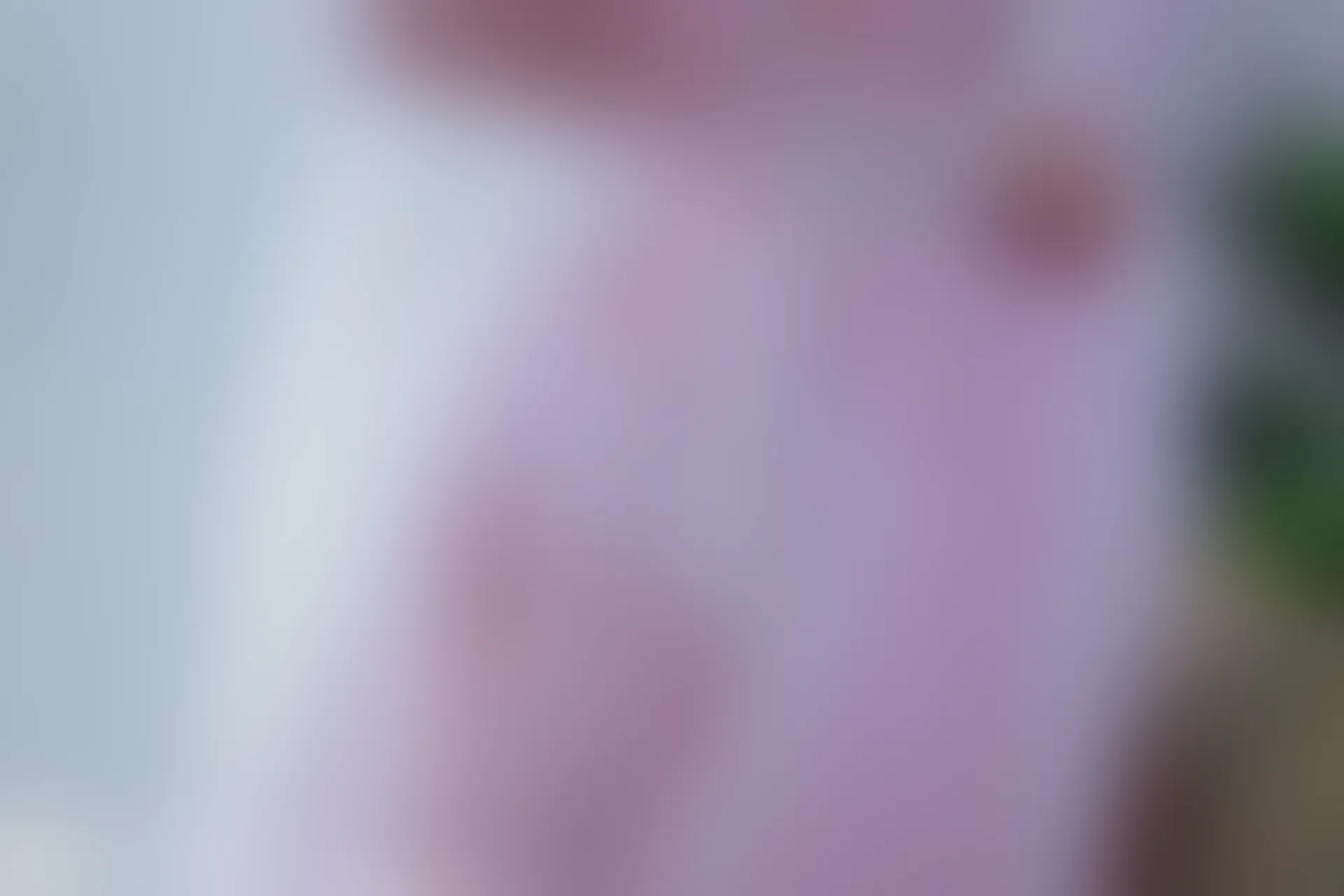 C48.002 粉色透明女仆 [40P-472MB]