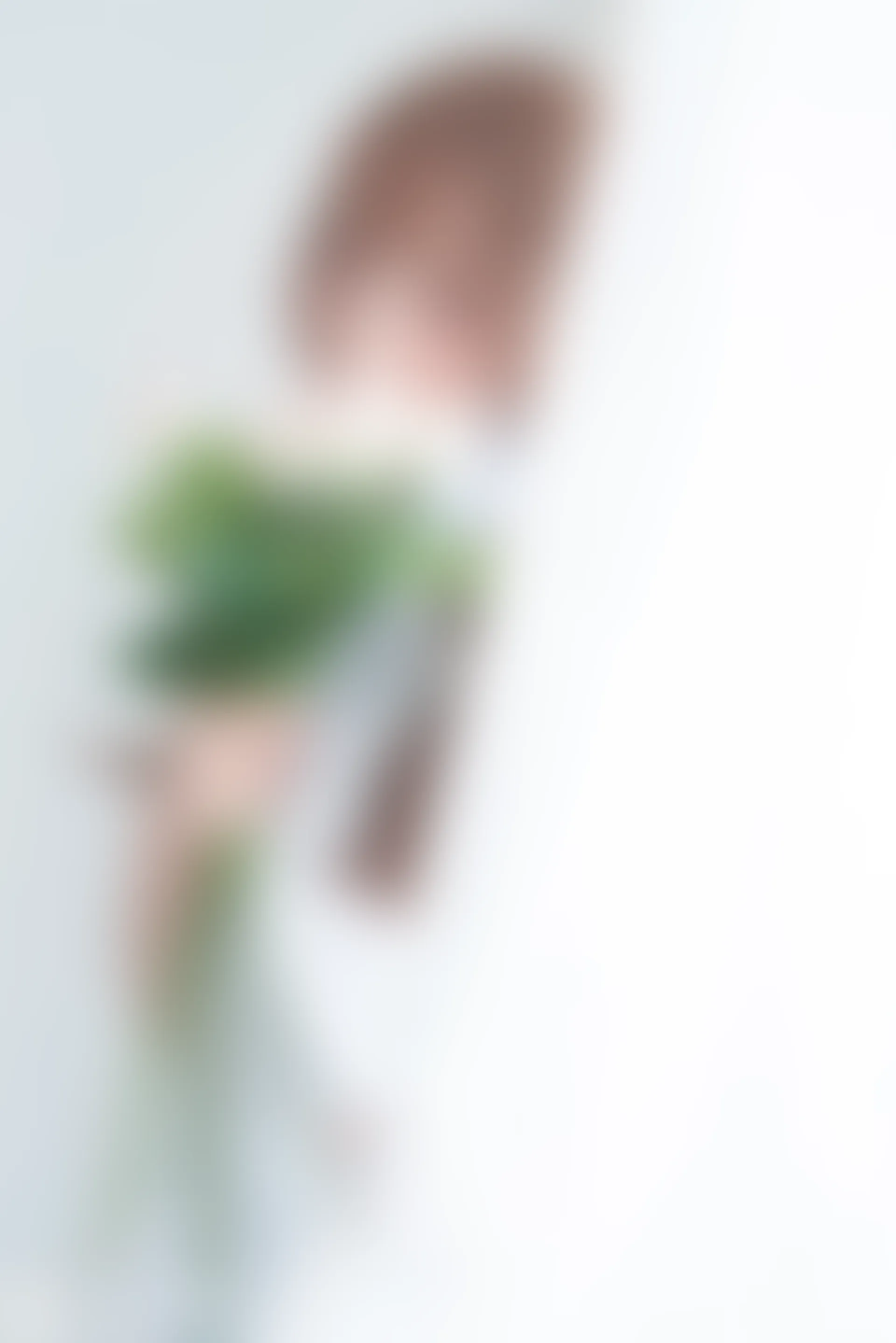 VOL.033 少女情怀 [40P-517MB]