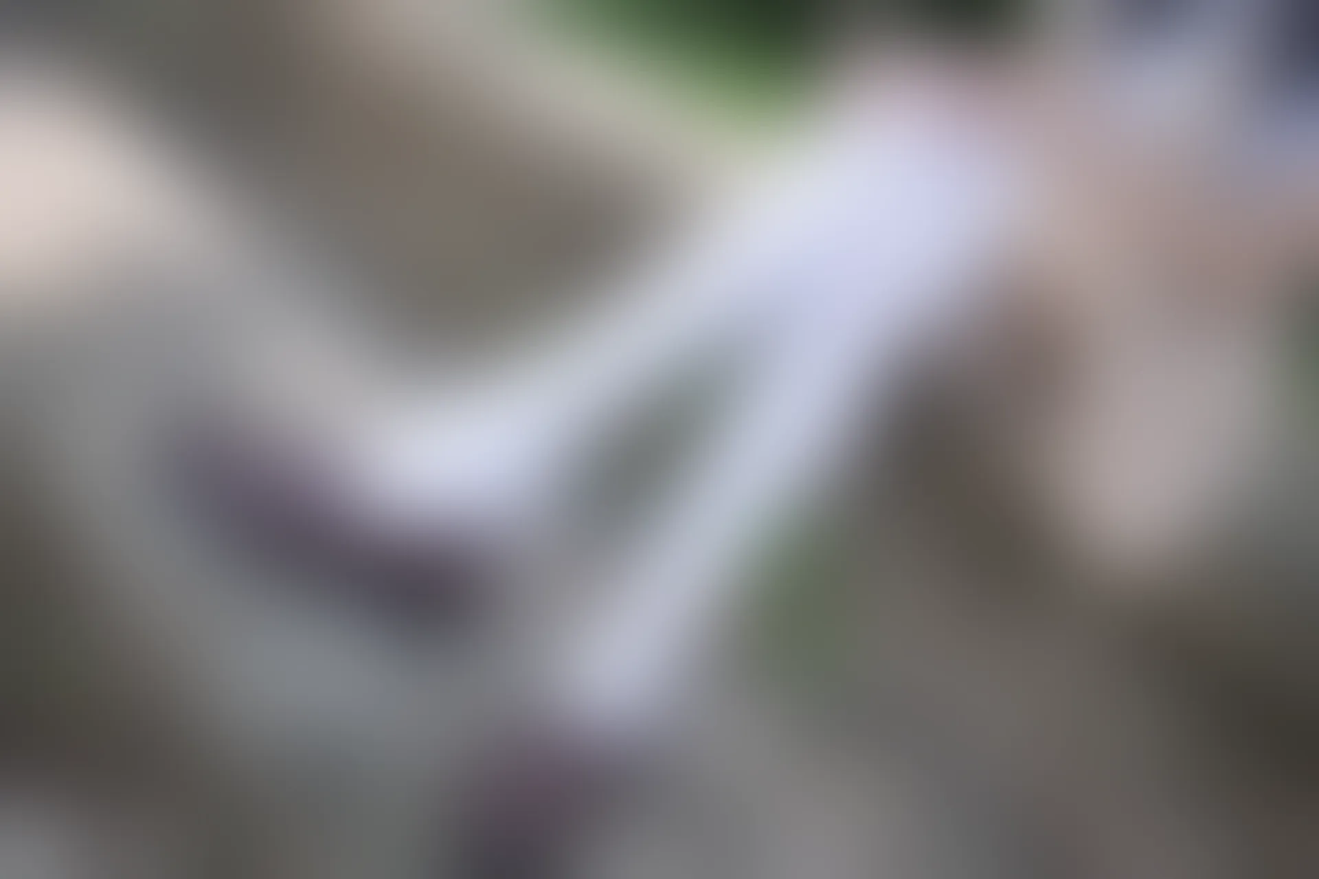 C19.006 树荫里的小细腿 [40P-104MB]