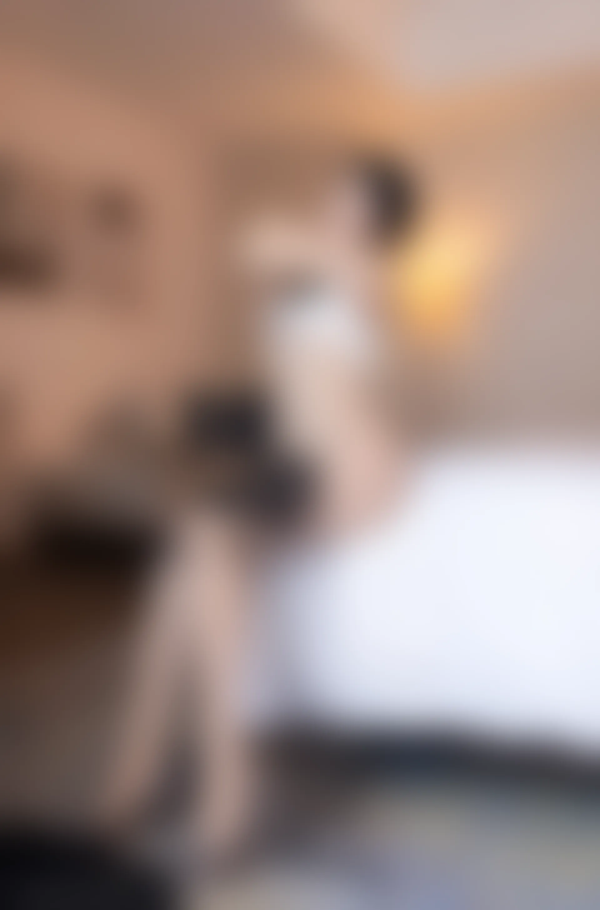 XIUREN秀人网 2023.08.16 NO.7240 利世[79+1P／687MB]