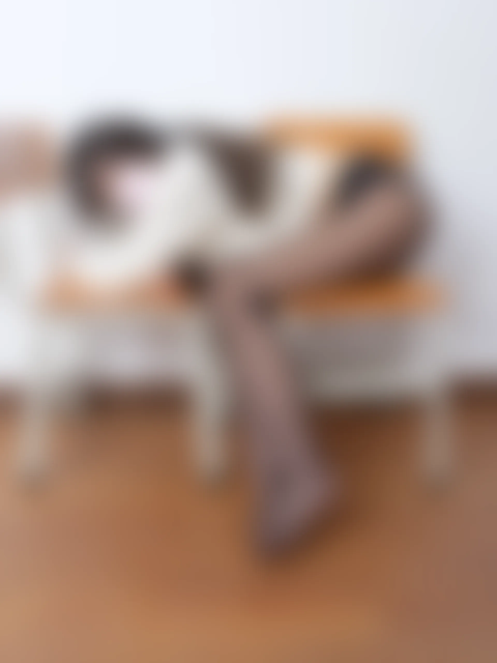 森萝财团 春雪-02E 4K 黑丝双马尾 [103P2V-6.24GB]