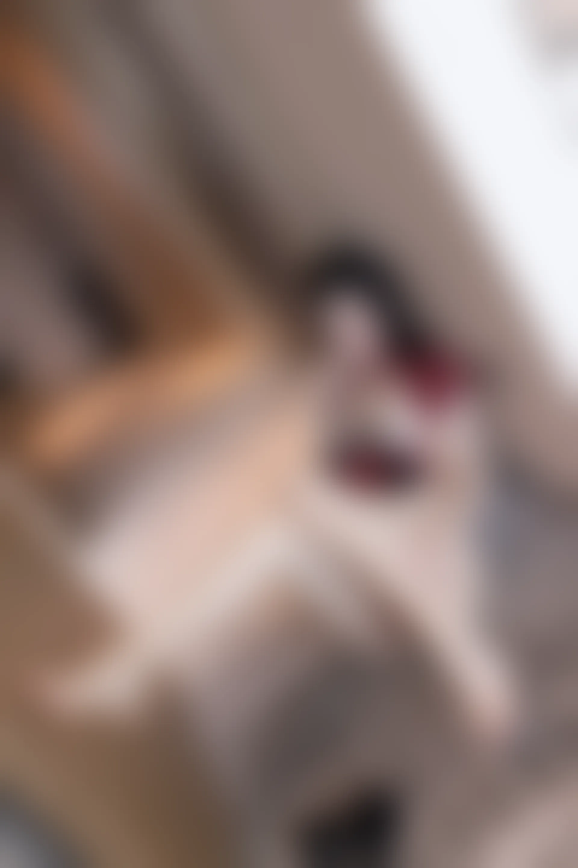 XIUREN秀人网 2023.11.23 NO.7710 小逗逗[76+1P／688MB]