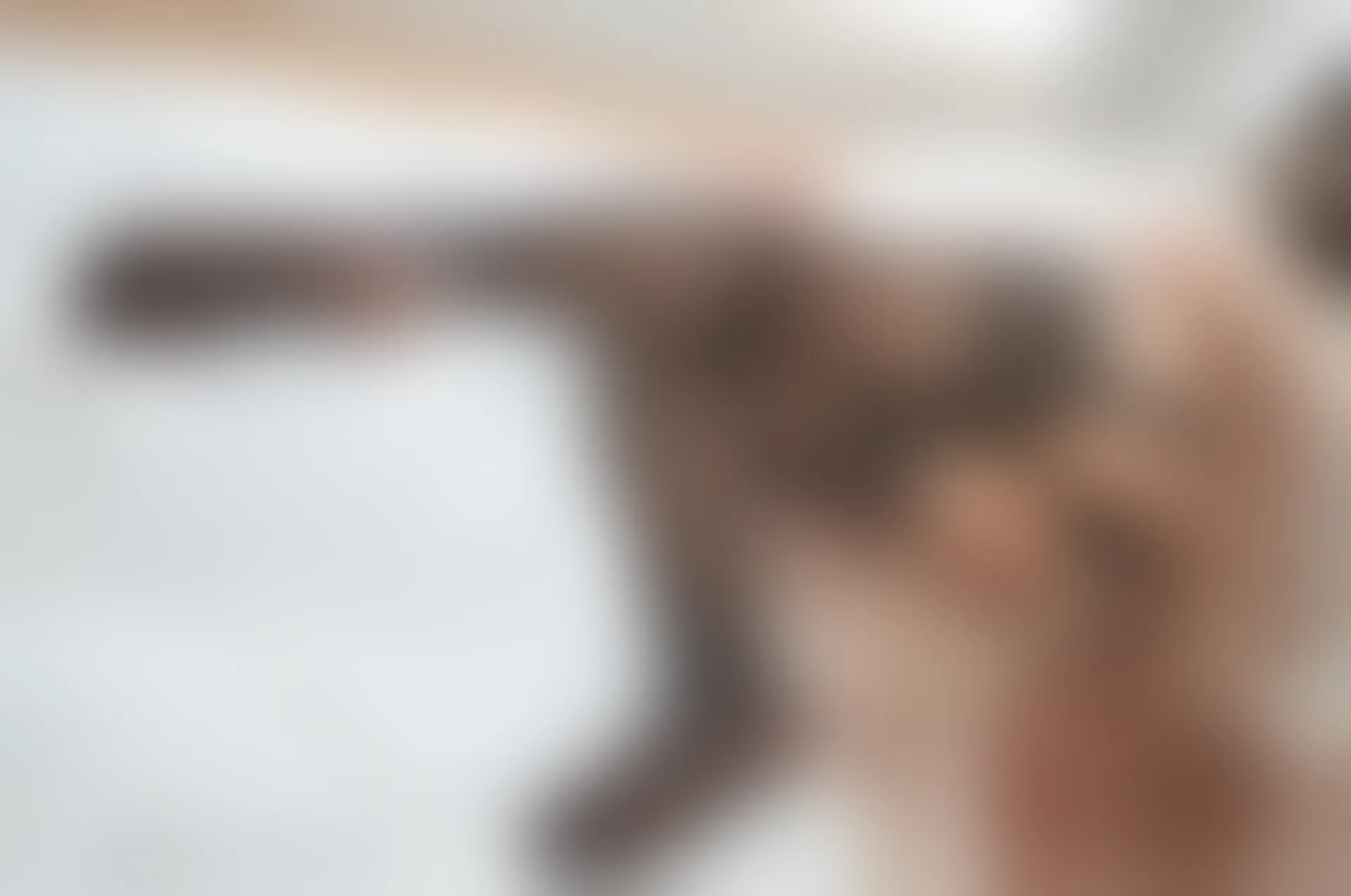 轻兰映画 Grand.017 黑丝透明女仆 [56P1V-460.9MB]女仆, 美腿, 美足, 轻兰映画, 黑丝