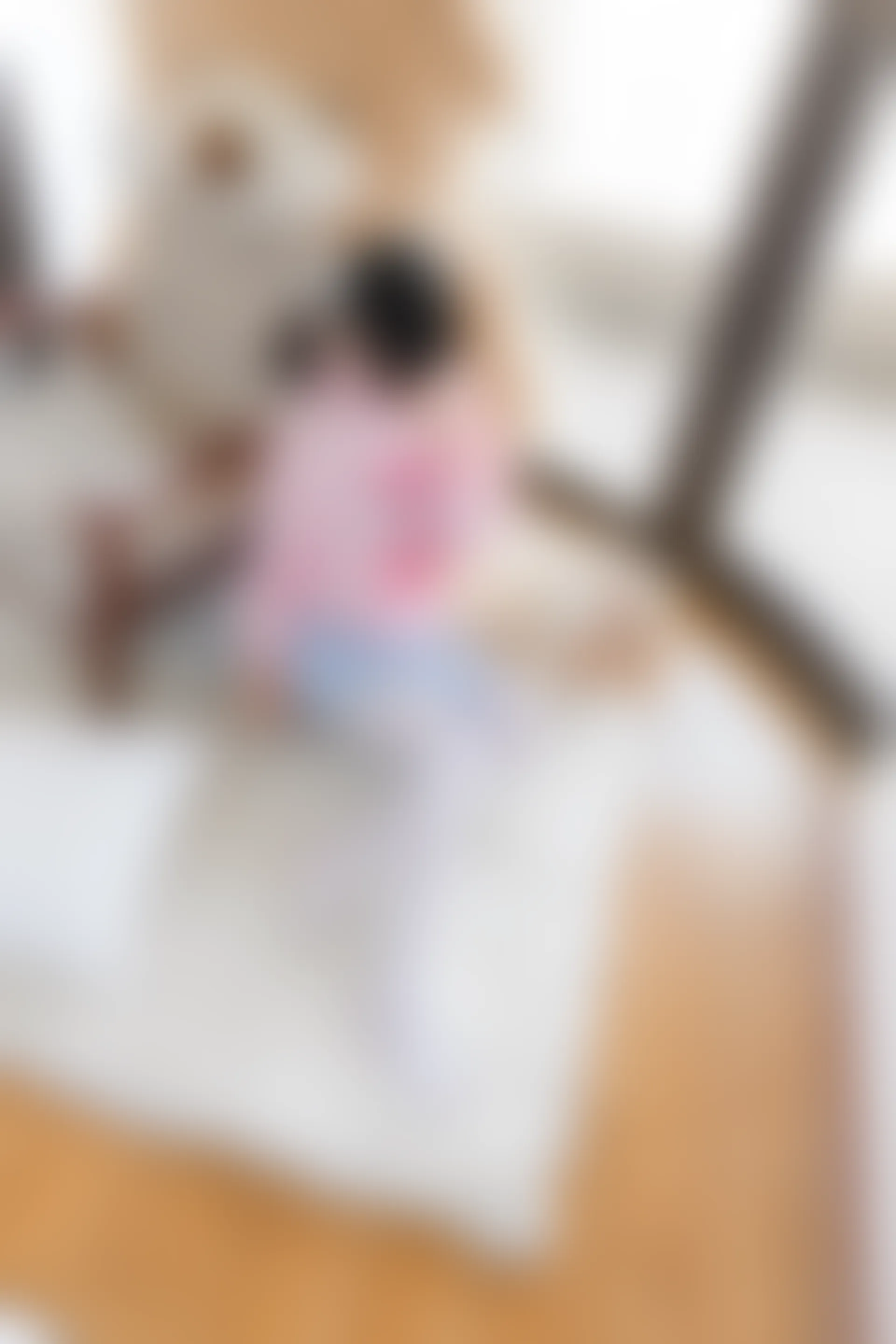 喵写真 R15-009 [104P1V-642M]可爱, 喵写真, 白丝, 美腿