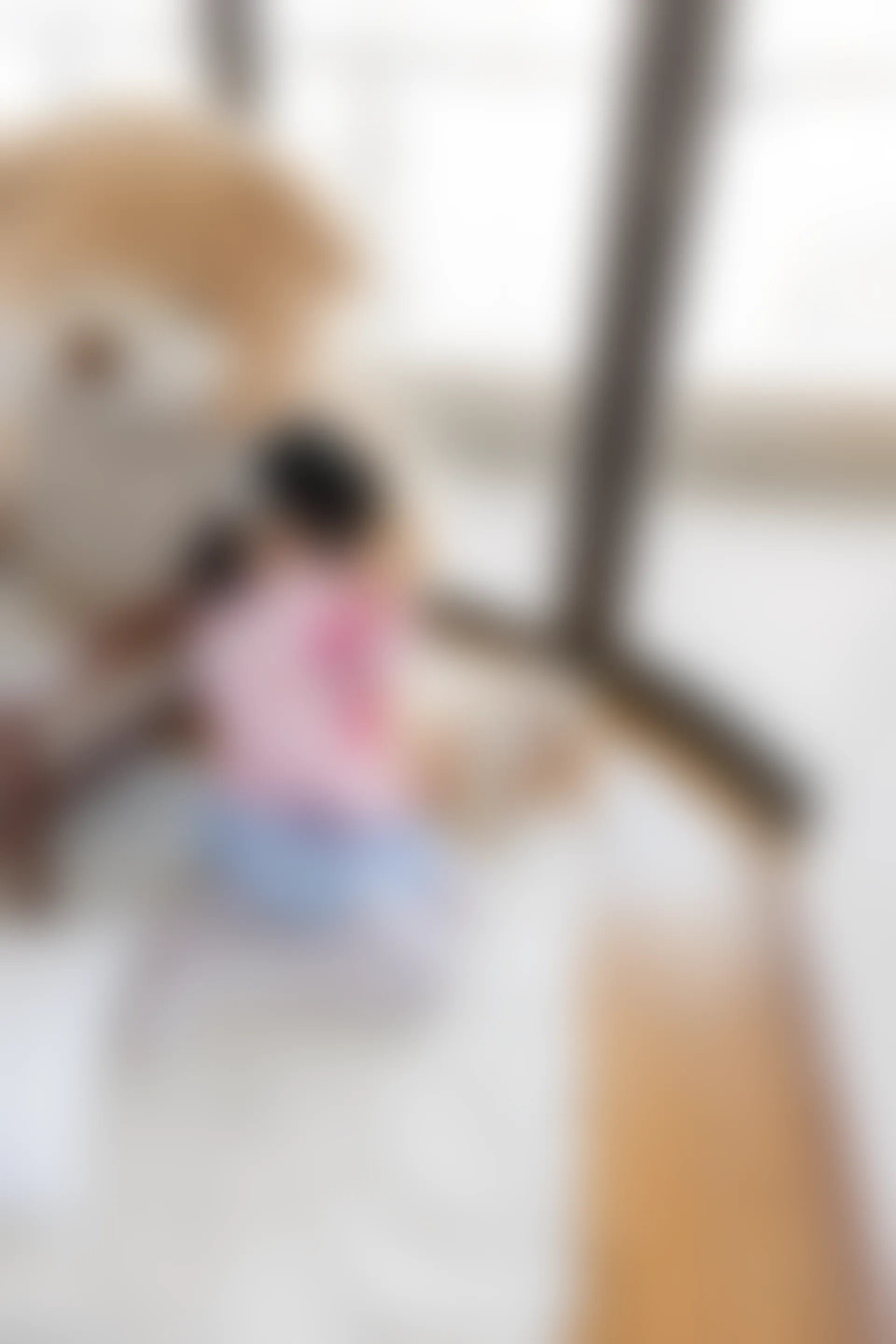 喵写真 R15-009 [104P1V-642M]可爱, 喵写真, 白丝, 美腿