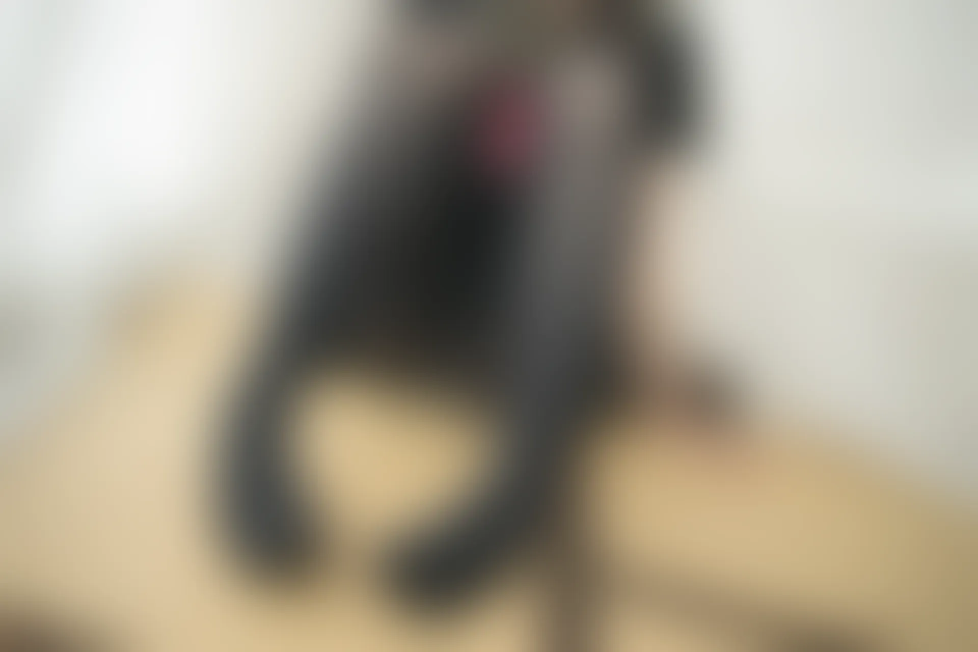 紧急企划 VOL.001 [45P1V-859M] 樱樱樱可JK, JK制服, 制服, 学生装, 紧急企划, 美腿, 美足, 黑丝