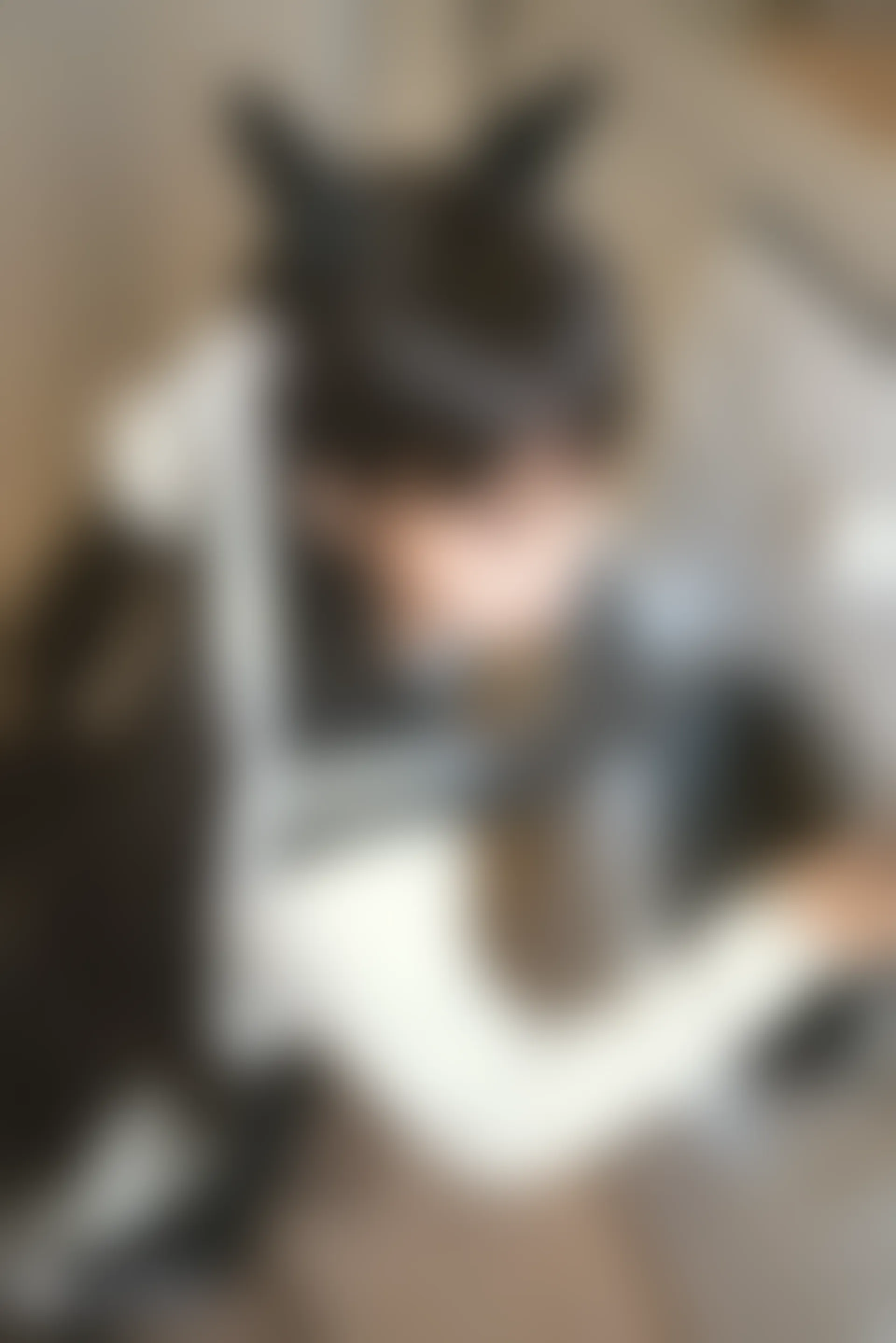 C10.006 犬和JK制服 [39P-1.12GB]