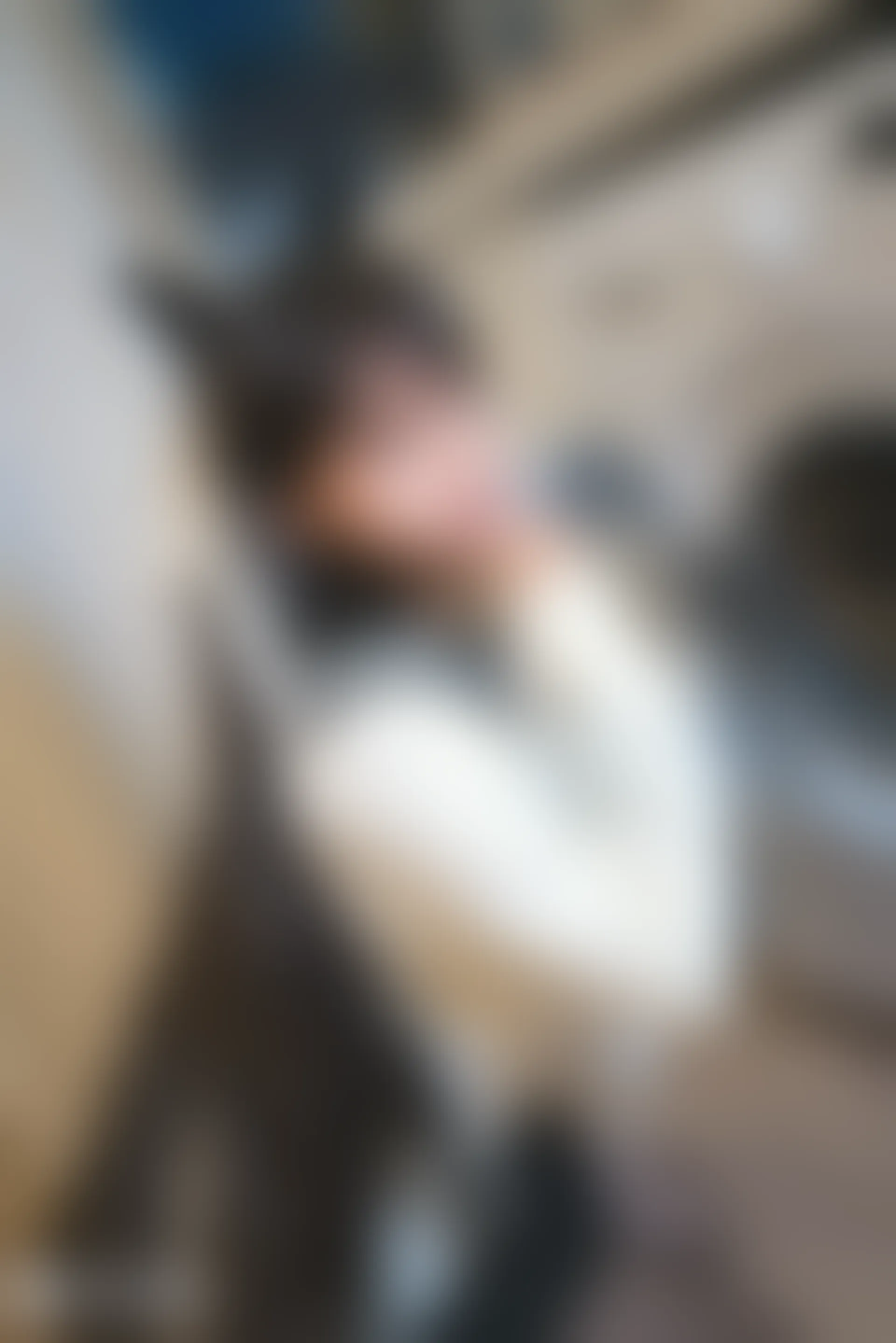 C10.006 犬和JK制服 [39P-1.12GB]