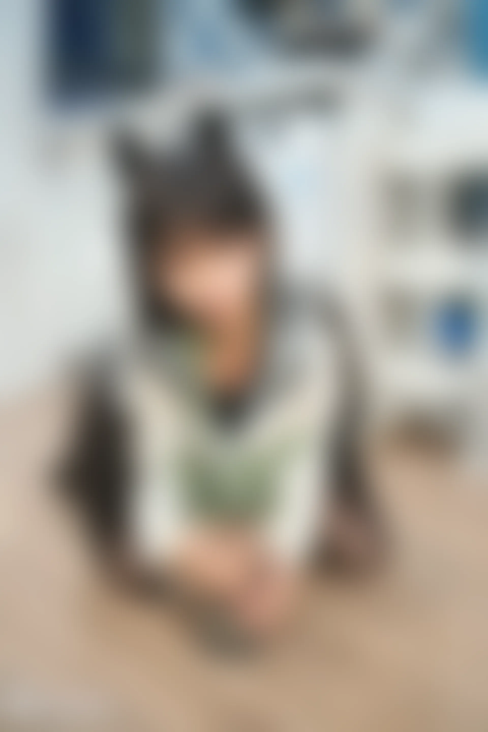 C10.006 犬和JK制服 [39P-1.12GB]