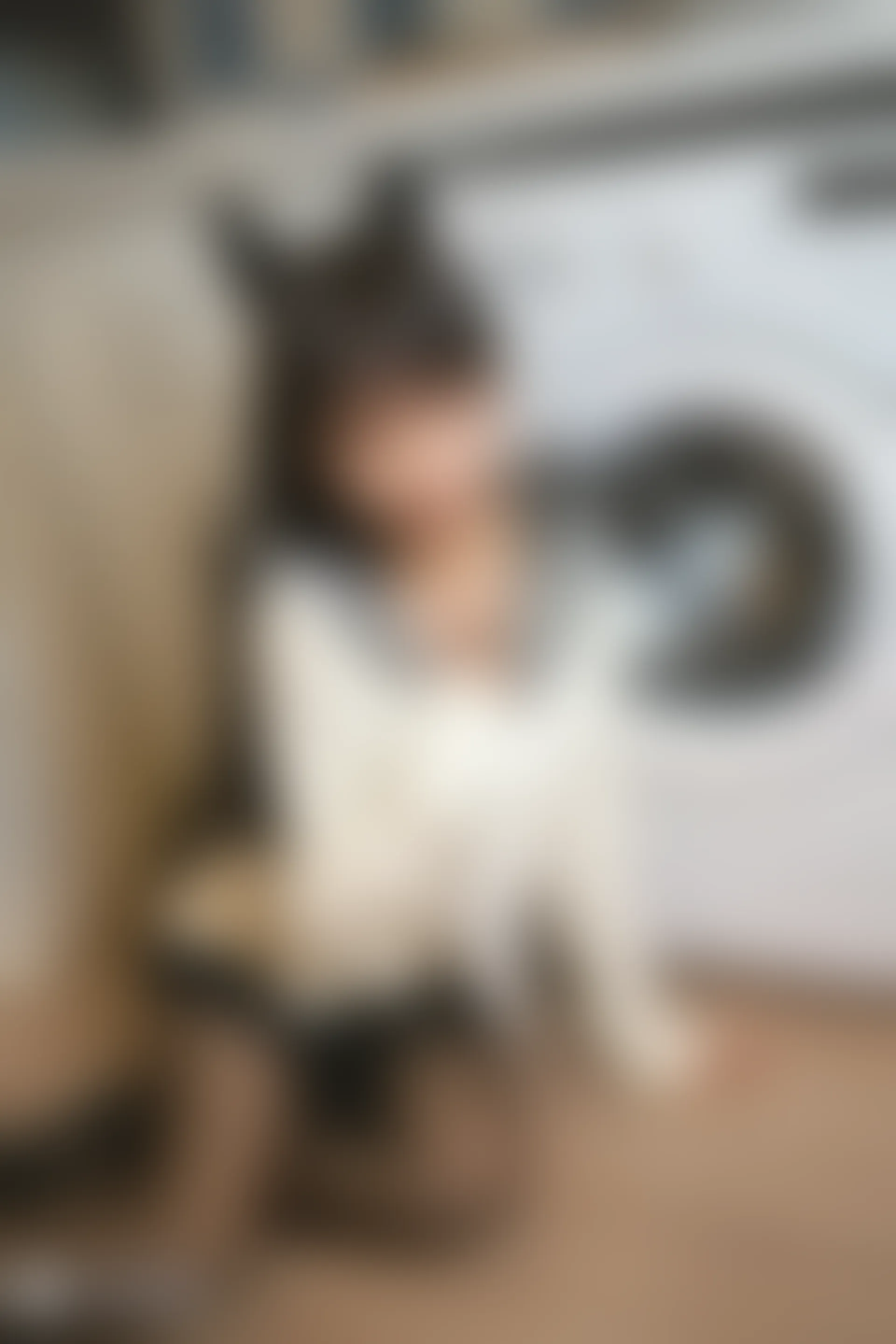 C10.006 犬和JK制服 [39P-1.12GB]