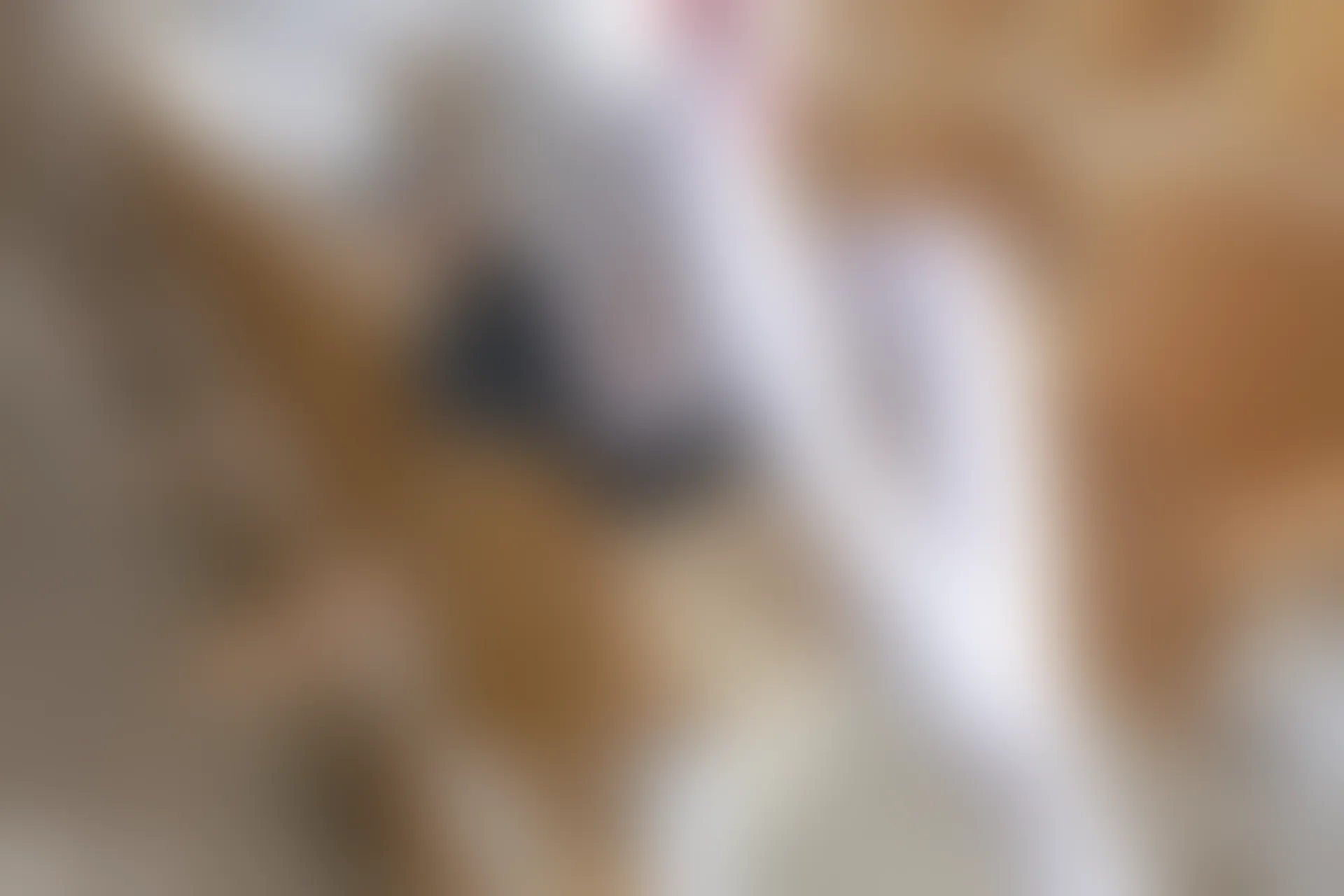 C15.001 JK制服白丝 [41P-428MB]