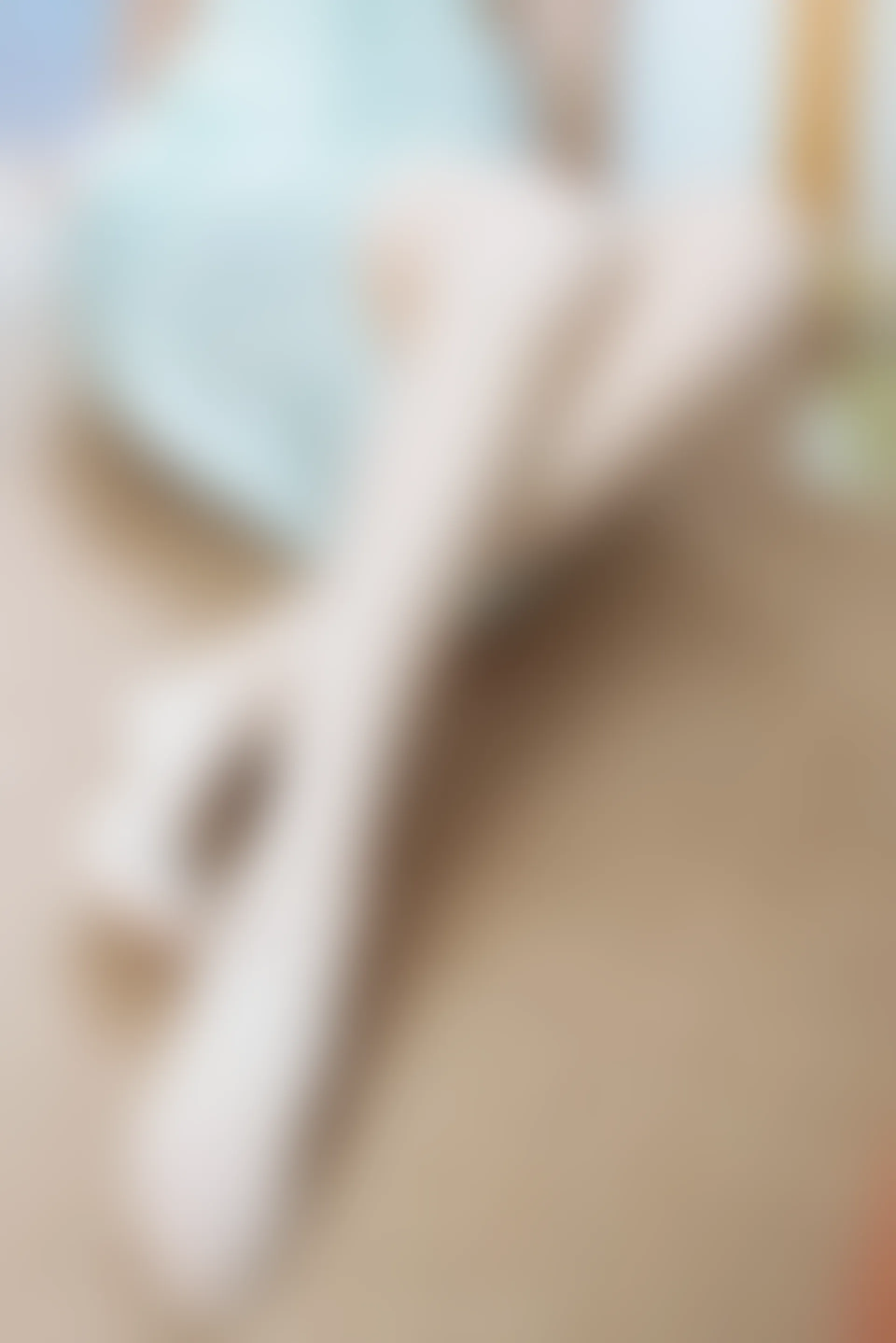 XiuRen秀人网 2022.04.07 No.4832 可樂Vicky 黑丝美腿 [45+1P471M]