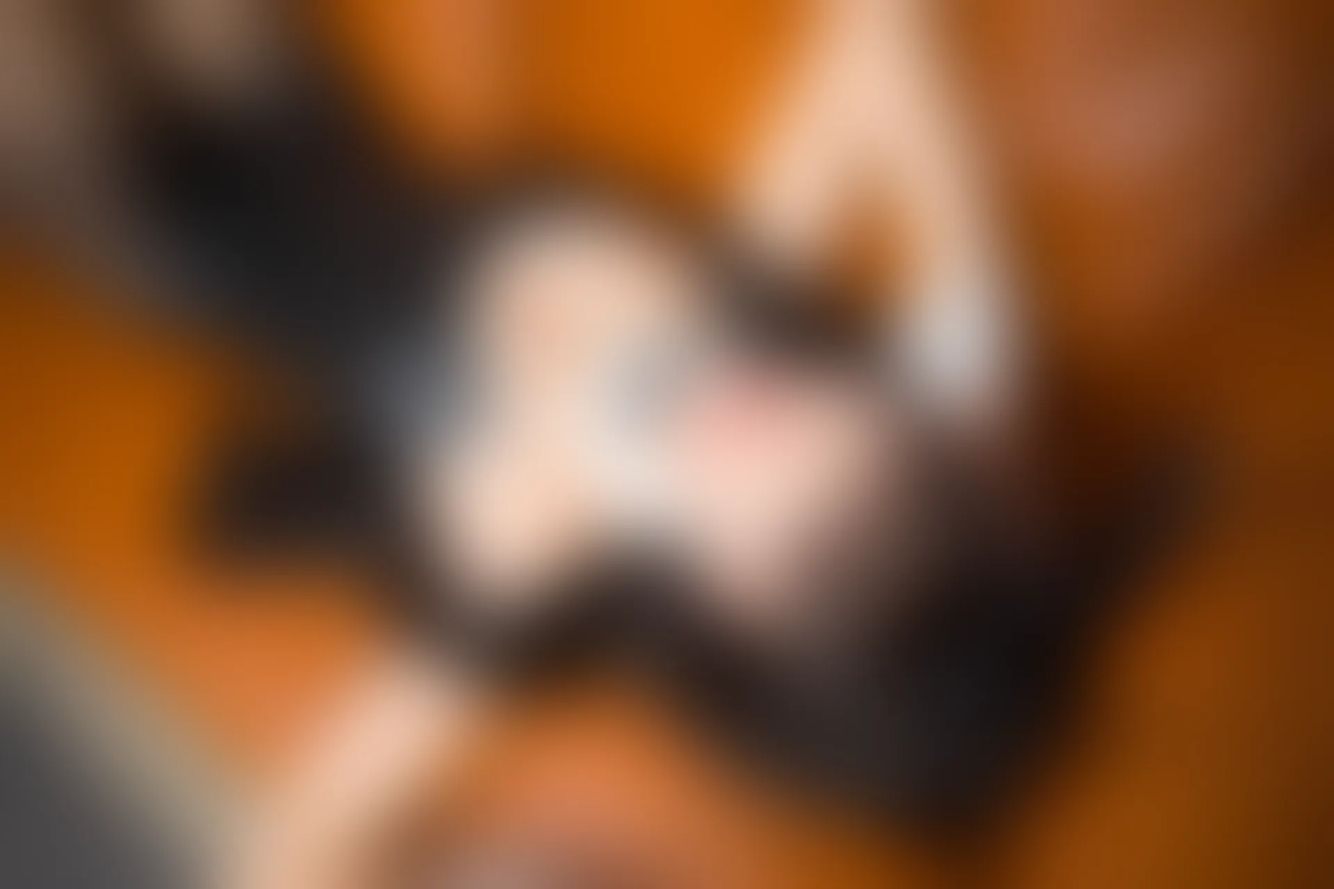 楽坂真冬 第三季 序号17：《ウサギタイム 》 [150P2V-646MB]兔女郎, 内衣, 双马尾, 女仆, 白丝, 神楽坂真冬, 美腿, 美足, 高跟鞋, 黑丝