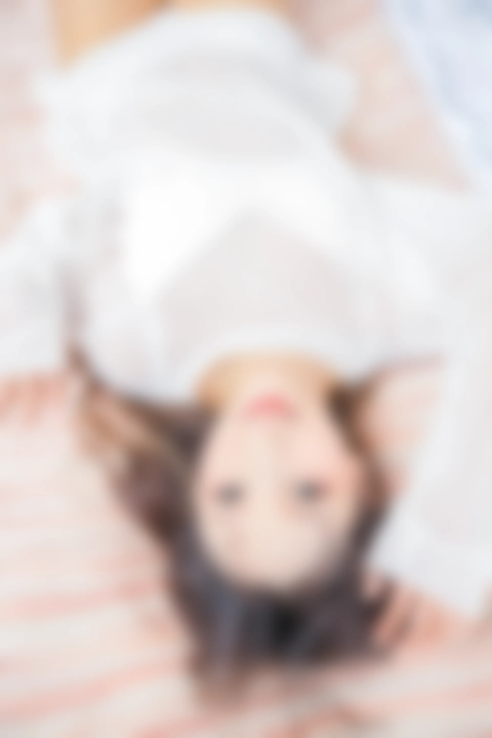 神楽坂真冬 第三季 序号10：《おかえり》猫脚女仆 [150P2V-543MB]内衣, 双马尾, 女仆, 白丝, 睡衣, 神楽坂真冬, 美腿, 美足, 黑丝