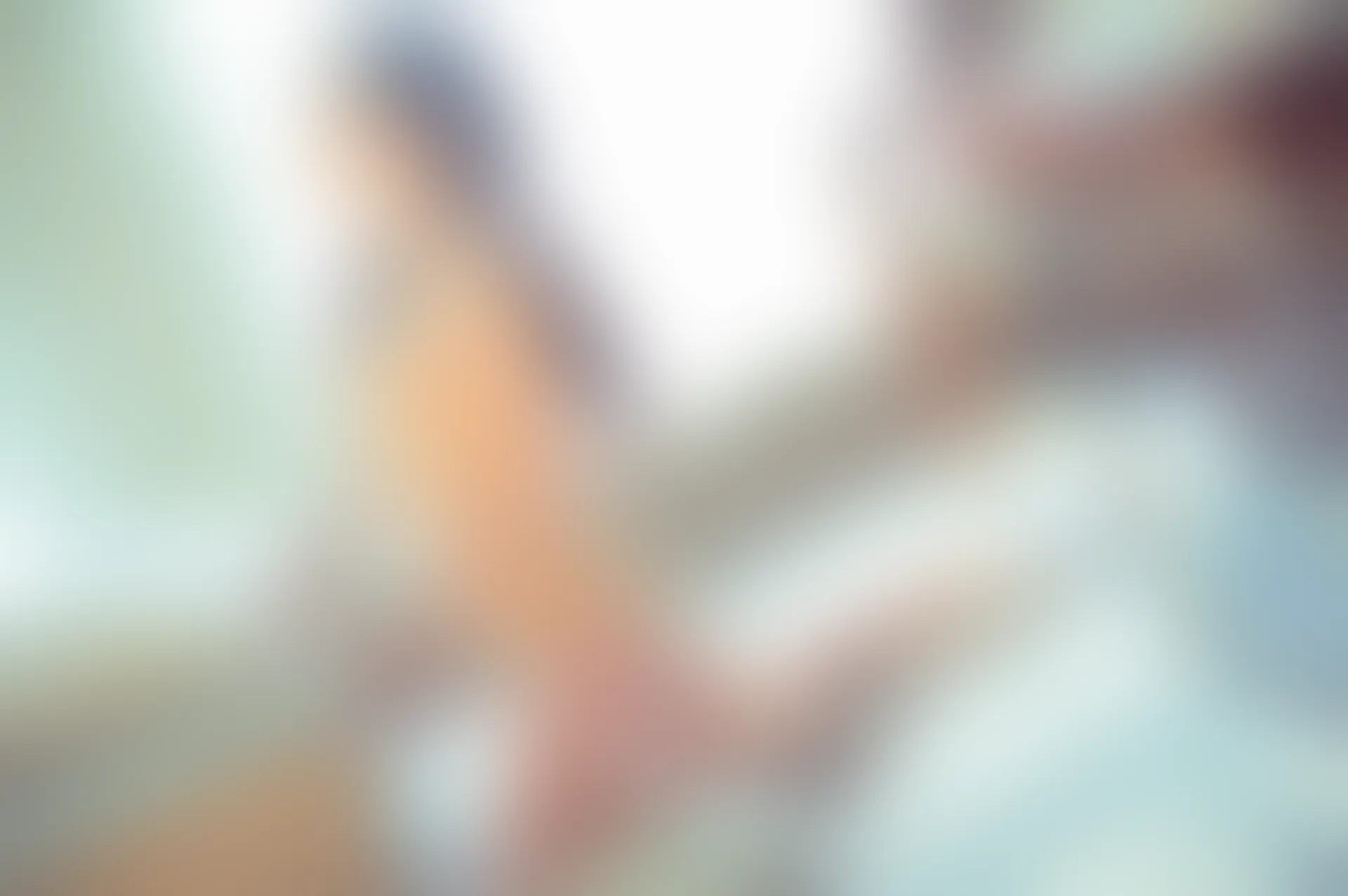 XiuRen秀人网 2016.11.29 No.648 尤Una娜 [70P-204MB]