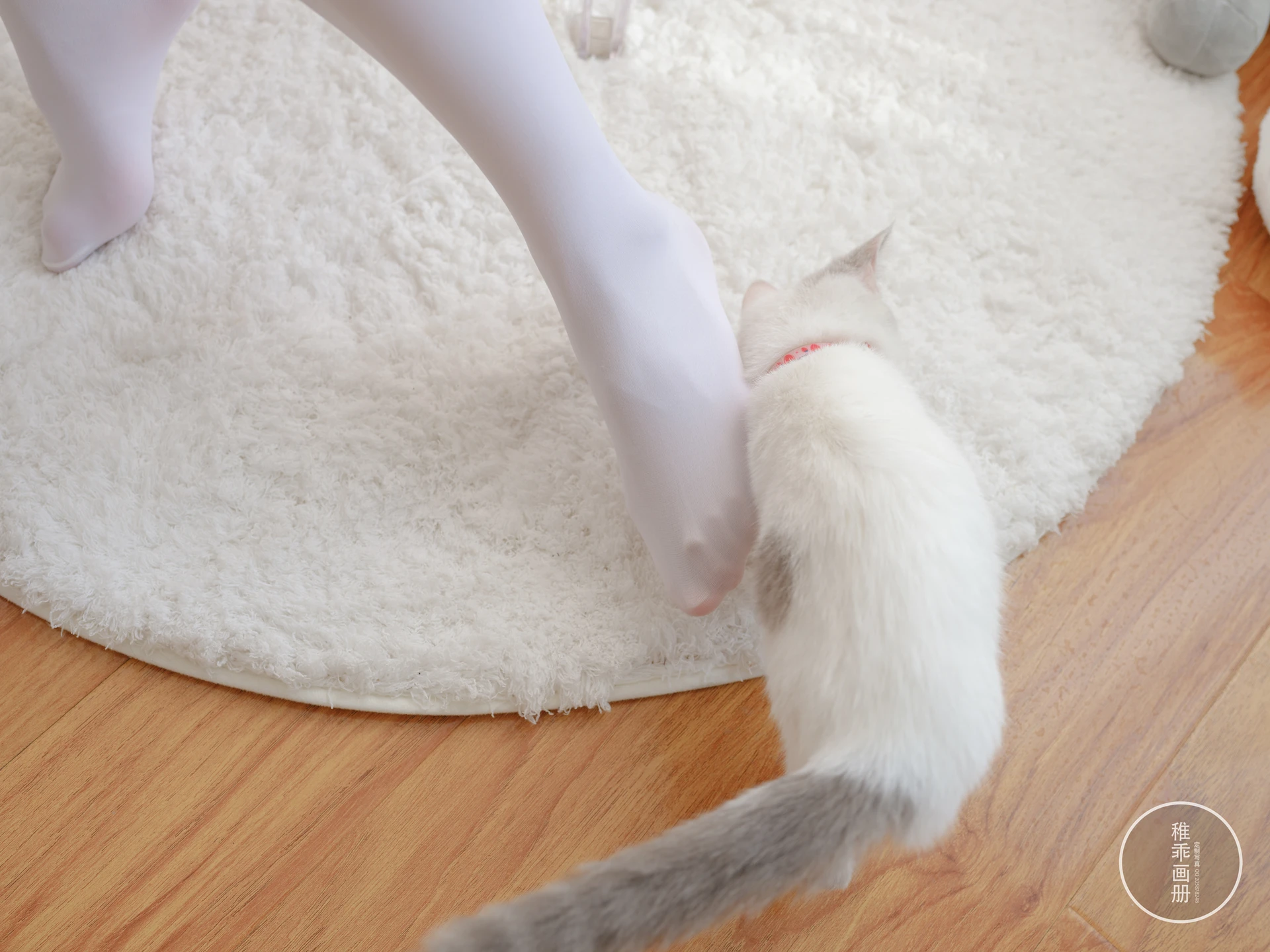 稚乖画册 晴空-07 赤西夜夜 双马尾白丝粉色JK 一亿像素 [81P1V-3.54GB]JK制服, 双马尾, 可爱, 晴空, 白丝, 稚乖画册, 美腿, 美足, 赤西夜夜